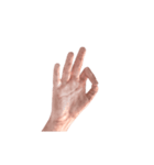 Hand Sign 3D（個別スタンプ：16）