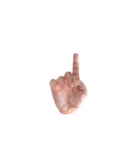 Hand Sign 3D（個別スタンプ：17）