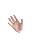 Hand Sign 3D（個別スタンプ：19）