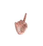 Hand Sign 3D（個別スタンプ：21）