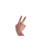 Hand Sign 3D（個別スタンプ：22）