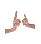 Hand Sign 3D（個別スタンプ：24）