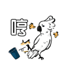 Cockatoo's way of life（個別スタンプ：4）