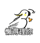 Cockatoo's way of life（個別スタンプ：6）