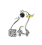 Cockatoo's way of life（個別スタンプ：11）