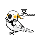 Cockatoo's way of life（個別スタンプ：12）