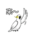 Cockatoo's way of life（個別スタンプ：17）