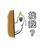 Cockatoo's way of life（個別スタンプ：21）