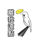 Cockatoo's way of life（個別スタンプ：24）