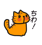 ちゃとら 毎日ねこ生活（個別スタンプ：1）