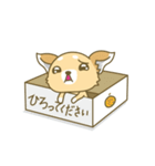 あざといぬ（個別スタンプ：22）