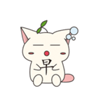 Bucket cat（個別スタンプ：9）