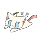 Bucket cat（個別スタンプ：17）