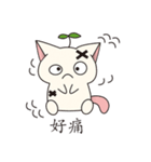 Bucket cat（個別スタンプ：30）