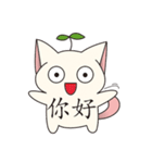 Bucket cat（個別スタンプ：31）