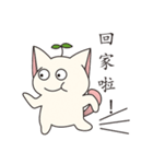 Bucket cat（個別スタンプ：32）