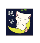 Bucket cat（個別スタンプ：36）