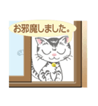 マロンとメロンの日常(基本はゆるい挨拶編)（個別スタンプ：24）