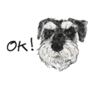 Miniature Schnauzer - by Rintarou（個別スタンプ：1）