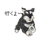 Miniature Schnauzer - by Rintarou（個別スタンプ：6）