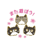 ふわふわのかわいい猫と友達スタンプ2（個別スタンプ：8）