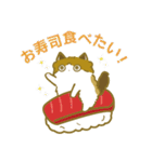 ふわふわのかわいい猫と友達スタンプ2（個別スタンプ：40）