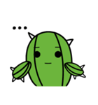 CACTUS-DAIDAI（個別スタンプ：2）