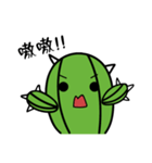 CACTUS-DAIDAI（個別スタンプ：4）