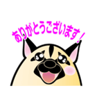 卵犬（ぷりん姐さん）（個別スタンプ：12）
