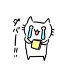 落書き猫しろたんスタンプ（個別スタンプ：17）