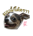 3ZAB（個別スタンプ：3）