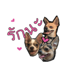 3ZAB（個別スタンプ：7）