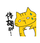 つまようじねこスタンプ（個別スタンプ：36）