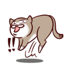 mocan（個別スタンプ：10）