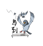 Pigeon Life ~ Pigeon Professional（個別スタンプ：1）