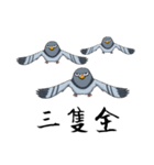 Pigeon Life ~ Pigeon Professional（個別スタンプ：13）