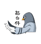 Pigeon Life ~ Pigeon Professional（個別スタンプ：15）