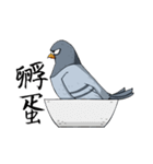 Pigeon Life ~ Pigeon Professional（個別スタンプ：17）