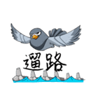Pigeon Life ~ Pigeon Professional（個別スタンプ：29）