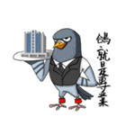 Pigeon Life ~ Pigeon Professional（個別スタンプ：35）