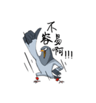 Pigeon Life ~ Pigeon Professional（個別スタンプ：40）