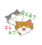 三毛さん家のかんなちゃん（個別スタンプ：29）