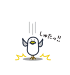 かもめかもね（個別スタンプ：12）