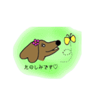 おしゃれ大好きダックスフンドちゃん。（個別スタンプ：5）