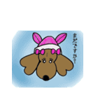 おしゃれ大好きダックスフンドちゃん。（個別スタンプ：6）