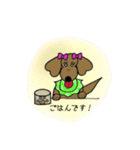 おしゃれ大好きダックスフンドちゃん。（個別スタンプ：7）