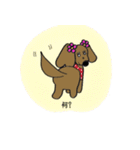 おしゃれ大好きダックスフンドちゃん。（個別スタンプ：11）