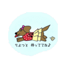おしゃれ大好きダックスフンドちゃん。（個別スタンプ：12）