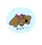 おしゃれ大好きダックスフンドちゃん。（個別スタンプ：16）