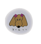 おしゃれ大好きダックスフンドちゃん。（個別スタンプ：17）